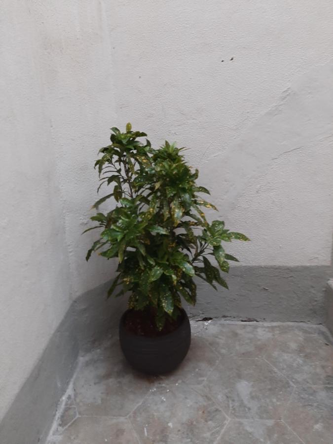 Al Crocifisso...Da Nonna Pia Apartment Salerno Luaran gambar
